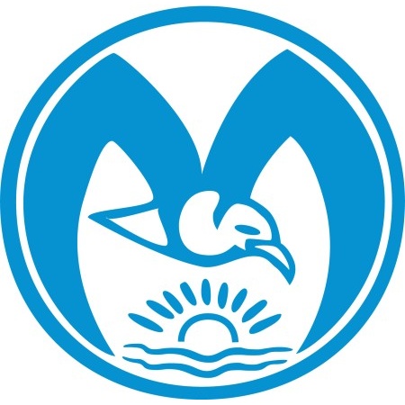 Blue Gull